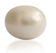 Screenshot 2025-08-10 at 5.05.54 PM.png