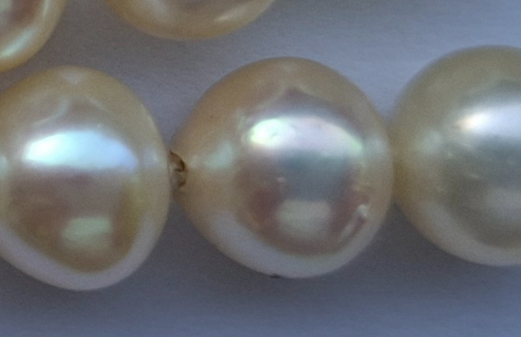 Screenshot 2026-01-01 at 10.30.09 AM.png