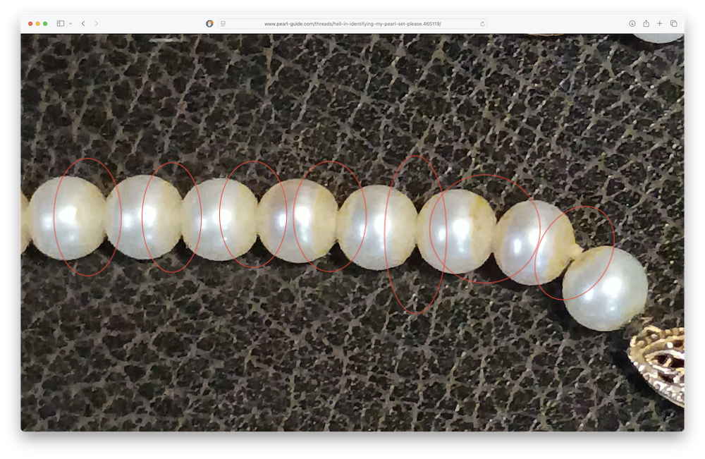 Screenshot 2026-08-20 at 5.55.13 PM.png