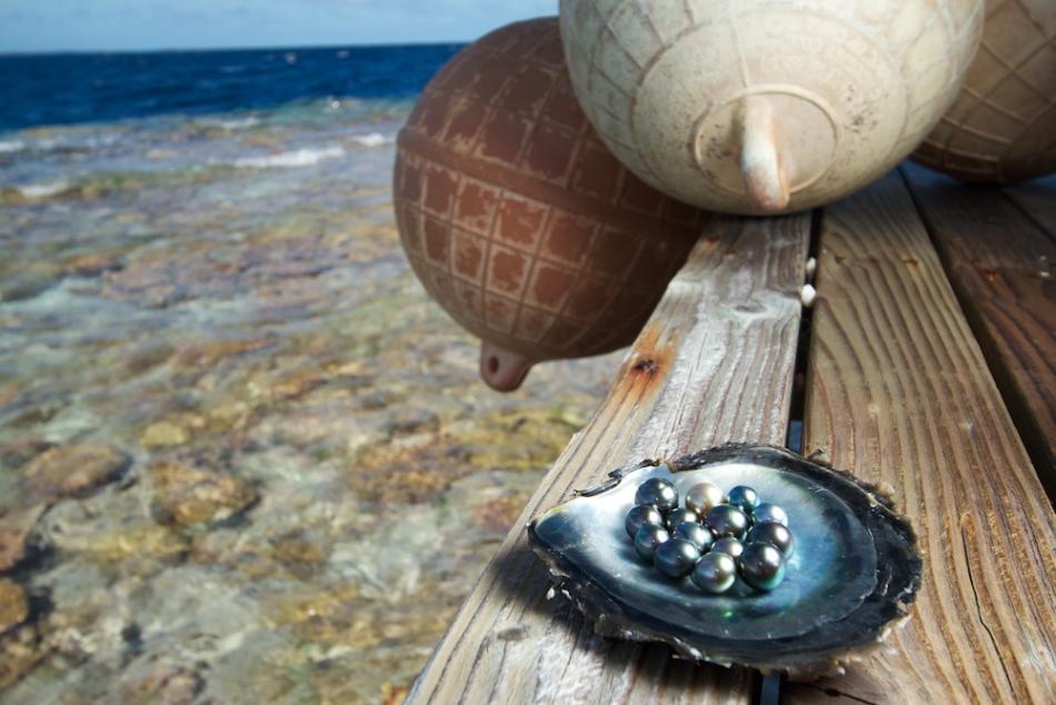 shot of Tahitian pearls in a shell at Kamoka pearl farm.jpg