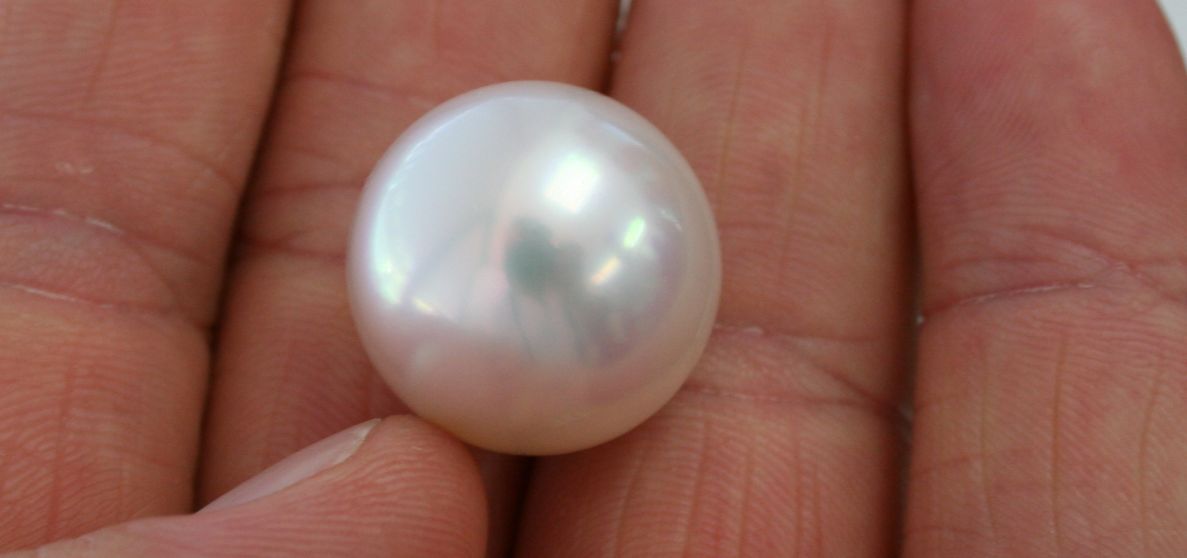 Single 18 mm South Sea pearl.jpg