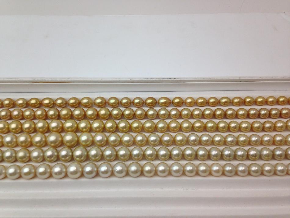 showing the range of gold colors in south seas at pearl paradise