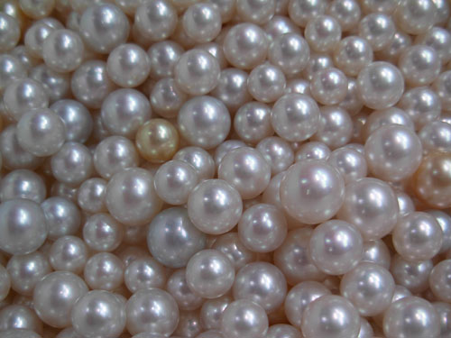 vat of pearls.JPG
