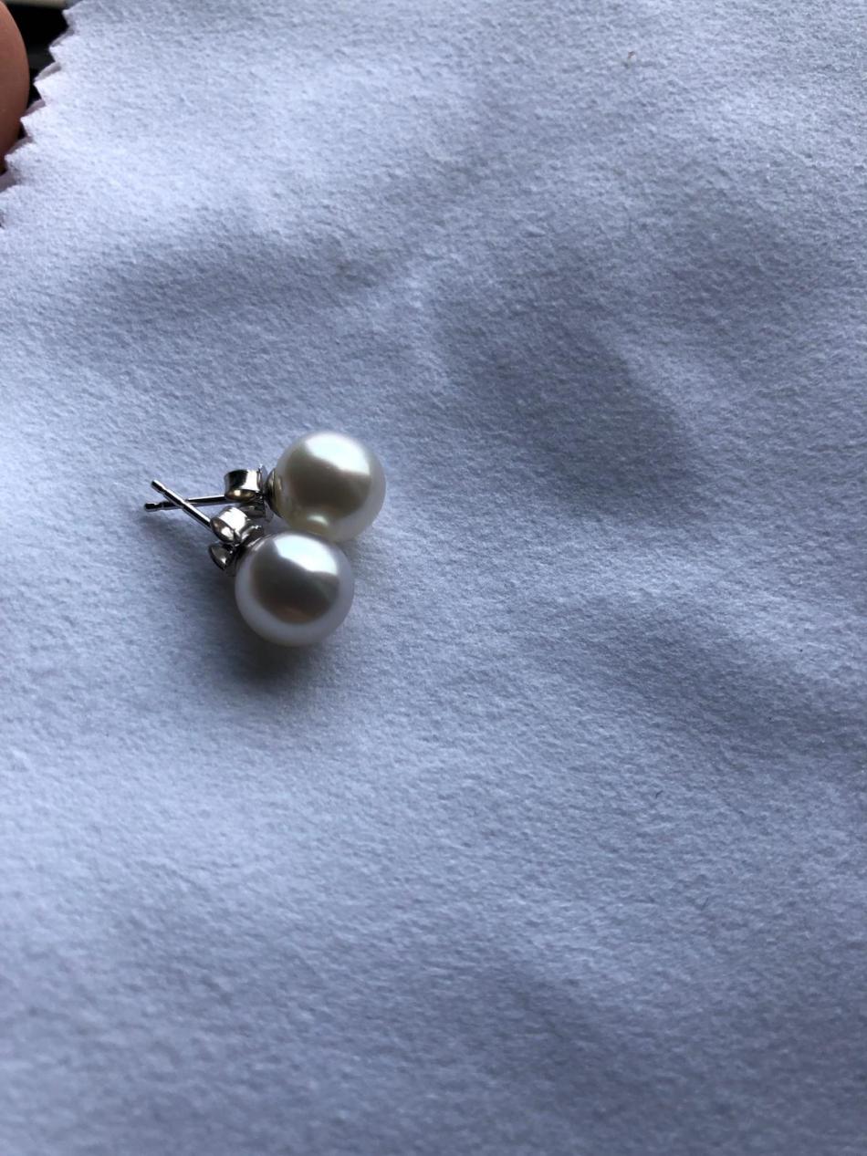 White South Sea pearl earrings