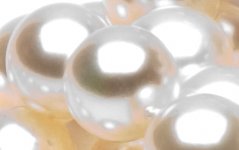 Freshadama-close4.jpg