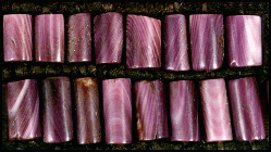 wampum23423.gif
