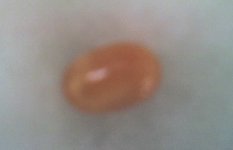 22-03-07_1135.jpg