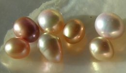 5color pearls 003.jpg