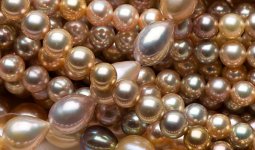 Jeremy's fancy freshwater pearls:Exotics from Feb. 2008 special offer.jpg