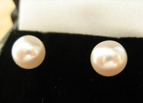 freshadama earrings.jpg