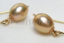 rich gold earrings.jpg