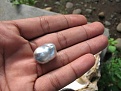 Natural Pearl of Pinctada Maxima in my hand