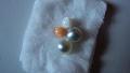 Conch, Tridacna, and Cultured Pearls