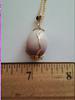 Natural pearl found in the waters off Eastern Long Island.  The pearl is 13.39mm x 18.5mm and the we
