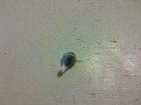IMG_20120514_131433.jpg