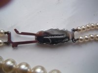 Picture 021.jpg