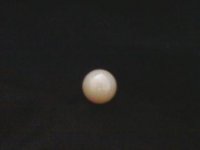 pearl1.jpg pearl1.jpg