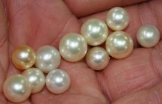 Mikimoto Experimental Pearls.jpg