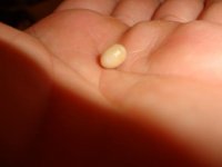 DSC08367.jpg