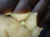 DSC08609.jpg
