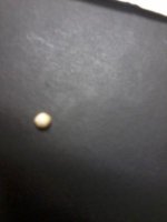 Pearl Image.jpg