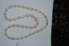 Pearls Basra 003.jpg