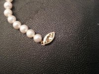 20121014_135415.jpg