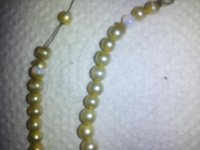20121120_201034.jpg
