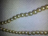 20121120_201026.jpg