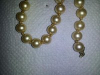 20121120_200434.jpg