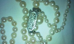 IMG_20121209_144759.jpg