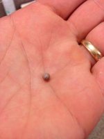 Found a pearl in oyster discount