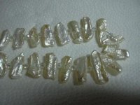 DSCN0075.jpg