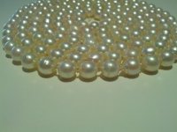 IMG_20130125_112039.jpg