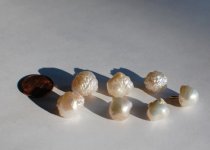 pearls new1.jpg