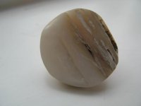 IMG_0978.jpg