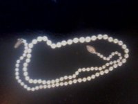 IMG_20130412_162923.jpg