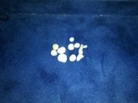 IMG_20130602_004018.jpg