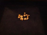 IMG_20130602_004013.jpg