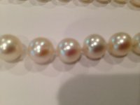 IMG_0179.jpg IMG_0179.jpg