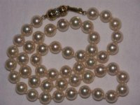 pearl7sm.jpg pearl7sm.jpg