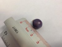 photo (11).jpg