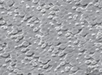 Picture2.jpg