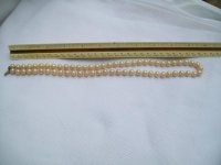 100_3022.jpg