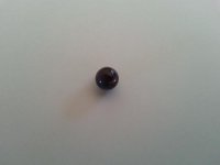 purple quahog pearl 9 25 13.jpg
