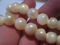 family pearls 2013 017.jpg