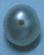 DSCN1493.JPG