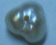 DSCN1495.JPG