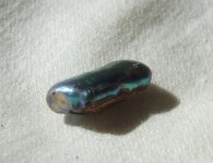 Abalone2.jpg