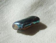 Abalone2.jpg